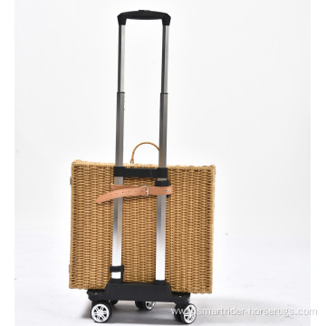 Artificial Rattan Wicker Travel Breathable Capsule Pet Carrier Bag Trolley Suitcase Portable Cat Dog Universal Case